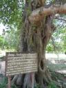 Gruwelen van Pol Pot regime @ killing fields