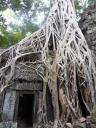 Jungle/Tombraider tempel