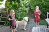 Ja hoor honden lusten ook ijs...