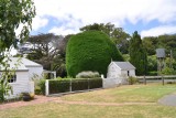 De nation trust tree op Rosemount farm