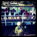 Krab vissen in de haven van Port Fairy