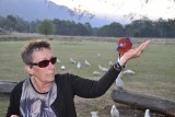 Rosella bij Francis