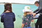 Zeehond