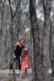 BIG lizard in the tree