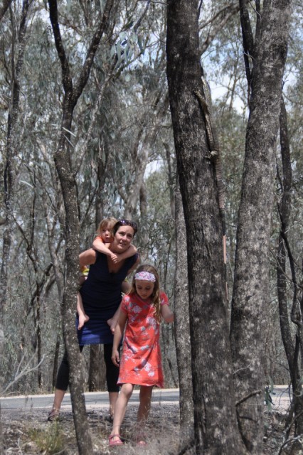 BIG lizard in the tree