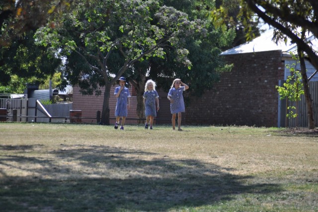 Bell primary