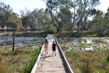 Tahbilk wetlands walk