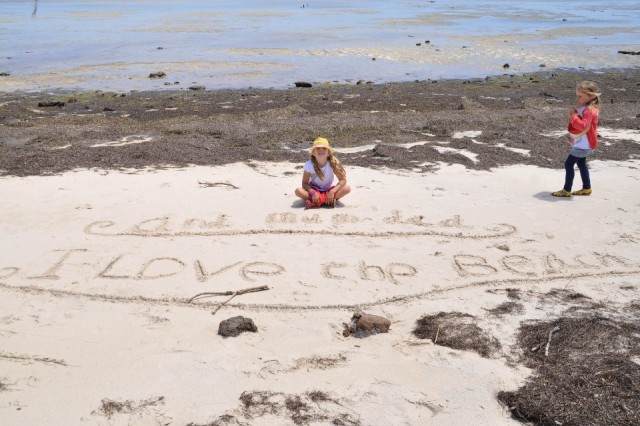 I love the beach!