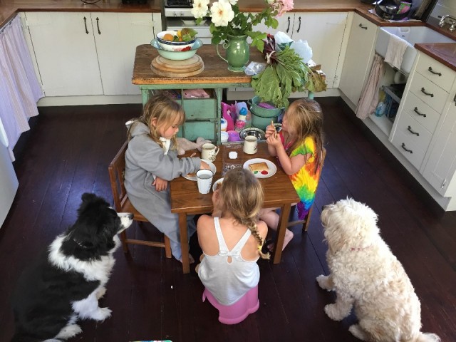 Dinner time!