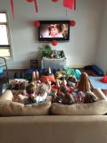 Watching the Annie movie