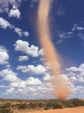 Tornado