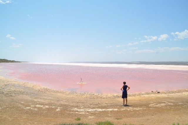 Pink lake