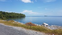 IMG-20180730-WA0001