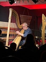 Luc Vanlaere harpist Brugge