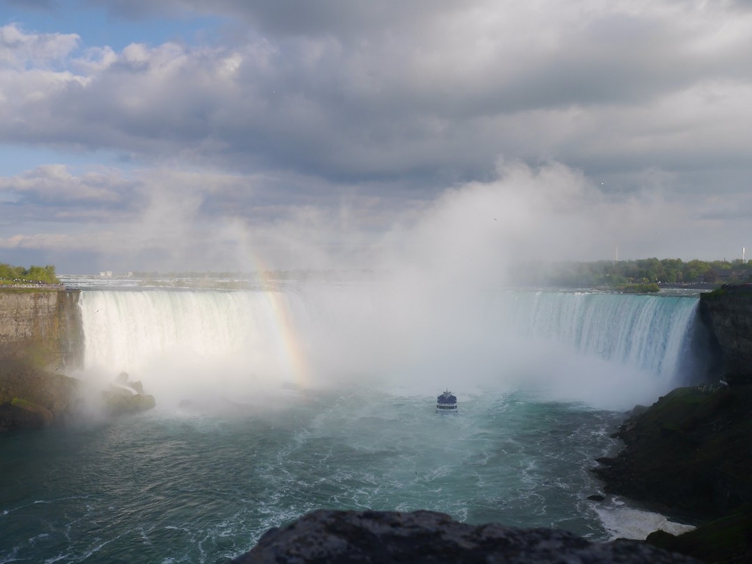 Regenboog