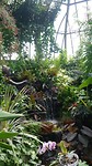Plantarium