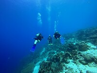 IMG_0081