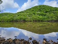 Hike Marijke's trail