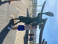 IMG-6436
