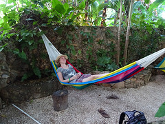 Siesta