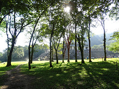 Palenque ruines