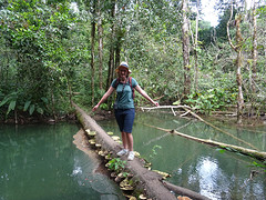 Jungletocht