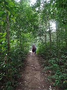 Jungletocht