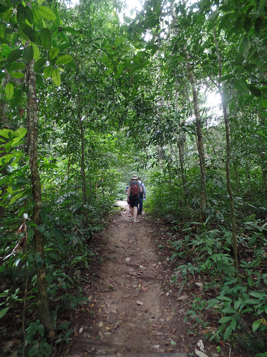 Jungletocht