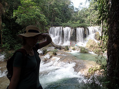 Jungletocht