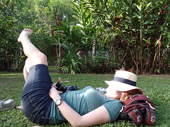 Siesta