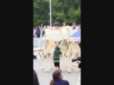 Strandbeest!