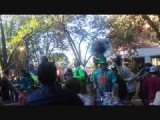 HONK! Festival