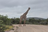 DSC_0169 (2)