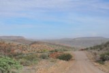 DSC_0199 (2)