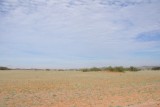 DSC_0203 (2)