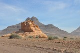 DSC_0218 (2)