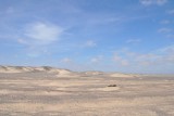 DSC_0242 (2)