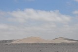 DSC_0245 (2)