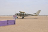 DSC_0336 (2)