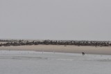 DSC_0371 (2)