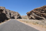 DSC_0397 (2)