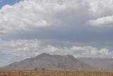 DSC_0481 (2)