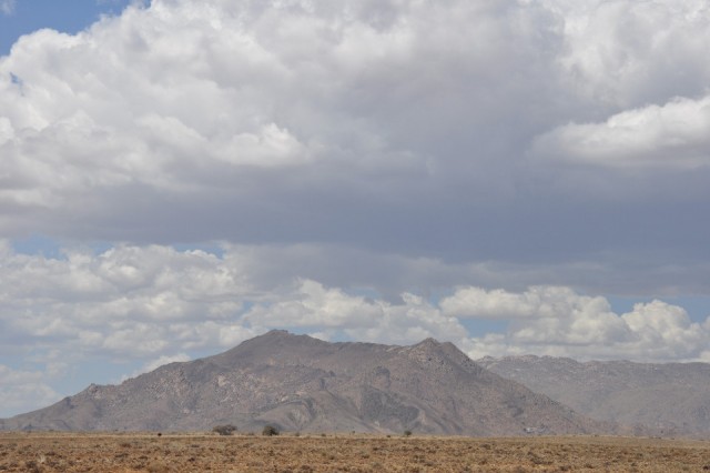 DSC_0481 (2)