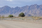 DSC_0557 (2)