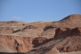DSC_0561 (2)
