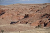 DSC_0575 (2)