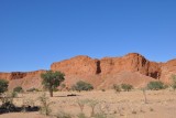 DSC_0667 (2)