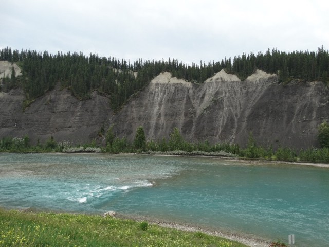 DSC05354