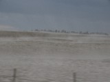 DSC07309