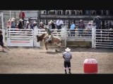 Rodeo Benalto
